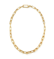 Alta Capture Charm Necklace