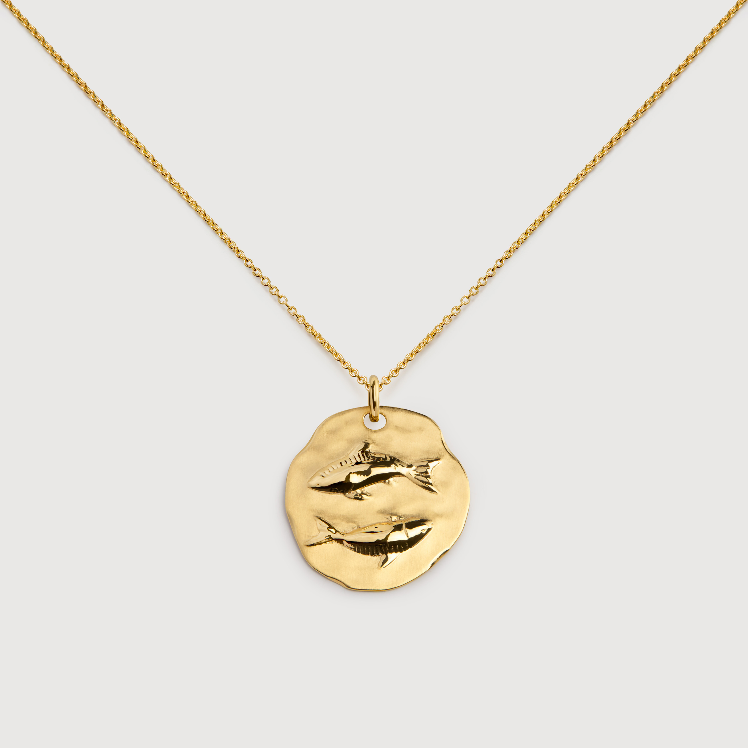 Pisces Zodiac Chain Necklace in 18k Gold Vermeil on Sterling