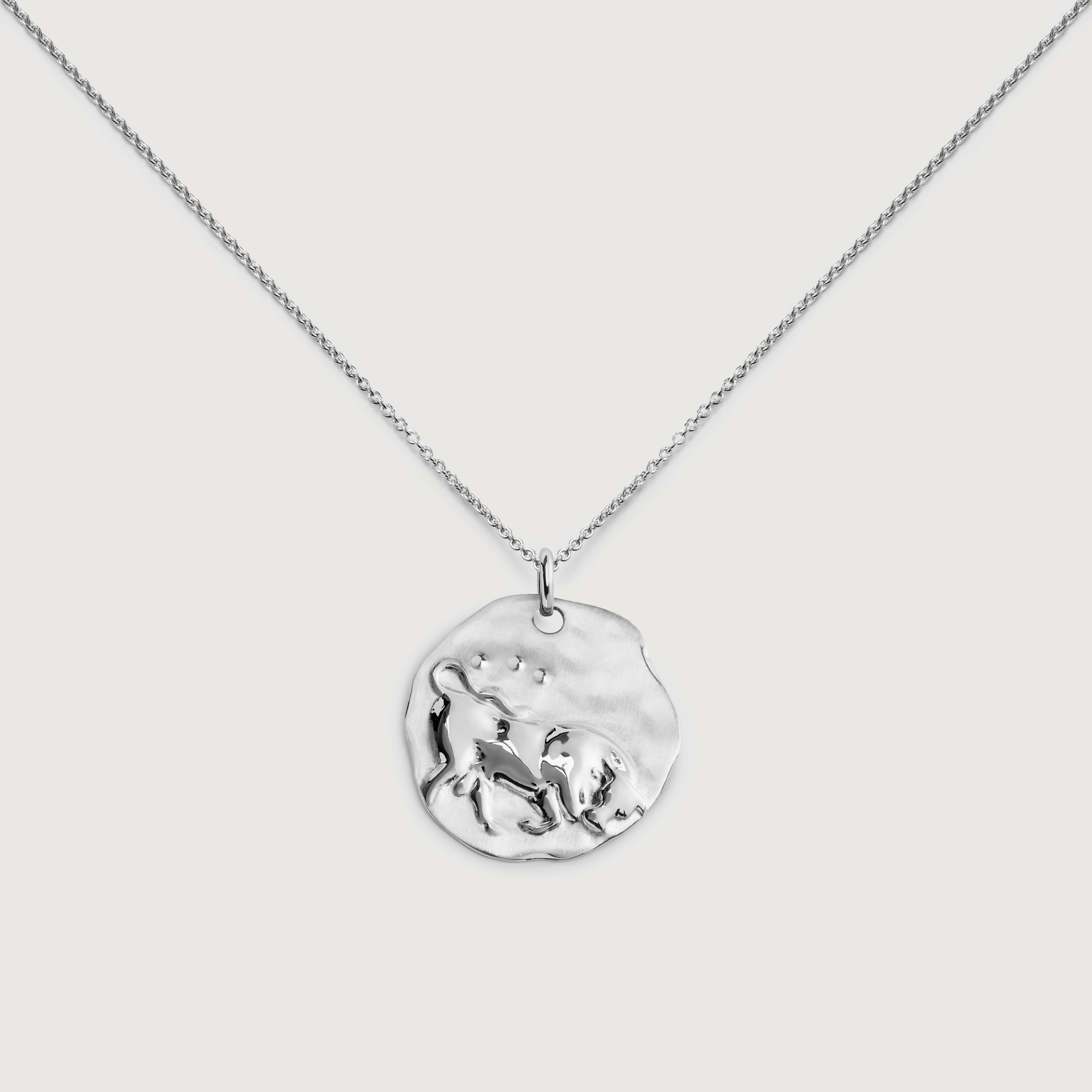超特急 タカシ Freecus Necklace (Silver) 【Luxe】 Taurus Zodiac Chain Necklace in Sterling Silver | Jewellery by